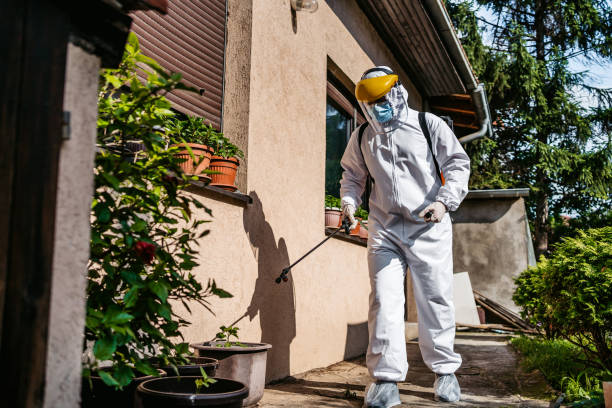 Pest Prevention Services in Cornelius, OR