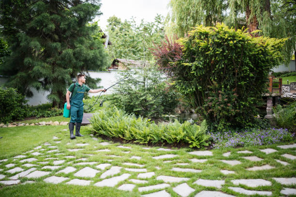 Best Pest Control for Homes  in Cnelius, OR