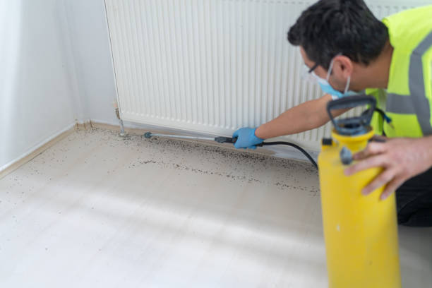 Best Best Pest Control Companies  in Cnelius, OR